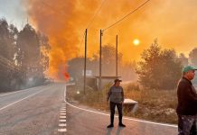 «Incontrolable»: más de 40 incendios forestales continúan activos en Portugal Foto: Incendios forestales continúan activos en Portugal /Cortesía