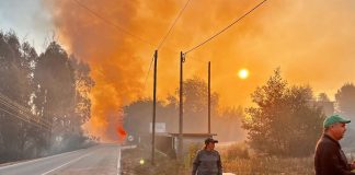 Foto: Incendios forestales continúan activos en Portugal /Cortesía