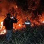 Perú declara estado de emergencia por incendios forestales en la Amazonía Foto: Perú declara estado de emergencia por incendios forestales en la Amazonía / Cortesía