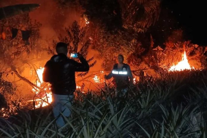 2 Foto: Perú declara estado de emergencia por incendios forestales en la Amazonía / Cortesía