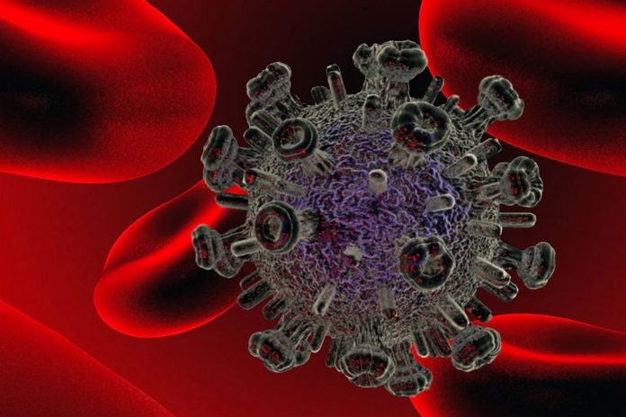 Foto: primera curación de VIH con trasplante de células/Cortesía Foto: primera curación de VIH con trasplante de células/Cortesía