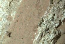 Descubren en Marte la «roca cebra» que asombra a científicos de la NASA Foto: Descubren en Marte la "roca cebra" que asombra a científicos de la NASA