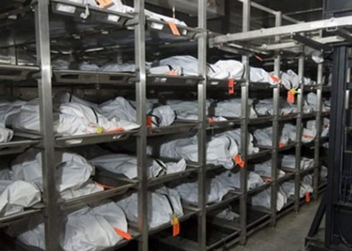 Foto En México, cadáveres de personas fallecidas en 2006 aún permanecen en las morgues sin identificar/Cortesía Foto En México, cadáveres de personas fallecidas en 2006 aún permanecen en las morgues sin identificar/Cortesía