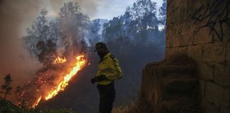 Foto: Quito evacúa 100 familias ante incendios forestales que agravan la crisis climática