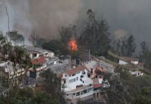 Incendio forestal devasta barrio capitalino de Ecuador Foto: Emergencia en Ecuador /cortesía