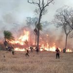 Bolivia decreta desastre nacional tras devastadores incendios forestales Foto: Emergencia en Bolivia /cortesía