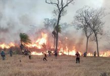 Bolivia decreta desastre nacional tras devastadores incendios forestales Foto: Emergencia en Bolivia /cortesía