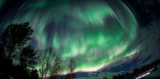 Foto: Auroras boreales brillan en los cielos de Rusia /Cortesía