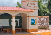 En el mes de la patria: La Paz recibe con nueva y embellecida entrada a sus visitantes Foto: La Paz se viste de gala /TN8