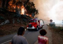 Tres bomberos pierden la vida combatiendo un incendio forestal en Portugal Foto: Los incendios en Portugal dejan siete muertos /Cortesía