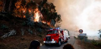 Foto: Los incendios en Portugal dejan siete muertos /Cortesía