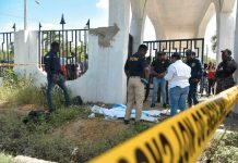 Conmoción en Italia: hallan cuerpos de 2 recién nacidos enterrados en un jardín Foto: Cadáveres de dos recién nacidos en Italia /Cortesía