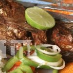 La Expo Ometepe 2024 promete cultura, deportes y gastronomía en su 15ª edición Foto: La Expo Ometepe 2024 promete cultura, deportes y gastronomía en su 15ª edición/TN8