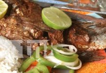 La Expo Ometepe 2024 promete cultura, deportes y gastronomía en su 15ª edición Foto: La Expo Ometepe 2024 promete cultura, deportes y gastronomía en su 15ª edición/TN8