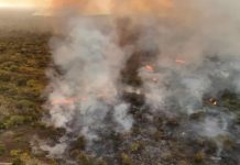 Perú declara estado de emergencia tras devastación de incendios forestales Foto: Perú en alerta /cortesía