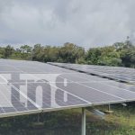 La Isla de Ometepe producirá energía limpia al instalar 900 paneles solares Foto: Turismo, y rubros del plátano y café, sostén de la Isla de Ometepe /TN8