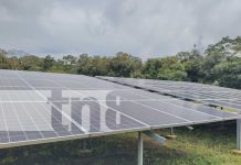 La Isla de Ometepe producirá energía limpia al instalar 900 paneles solares Foto: Turismo, y rubros del plátano y café, sostén de la Isla de Ometepe /TN8