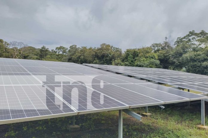 Foto: Turismo, y rubros del plátano y café, sostén de la Isla de Ometepe /TN8 Foto: Turismo, y rubros del plátano y café, sostén de la Isla de Ometepe /TN8