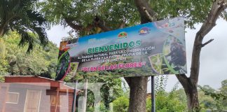 Foto: El volcán Maderas posee una laguna en su cráter ¡Un tesoro turístico de Ometepe!/TN8