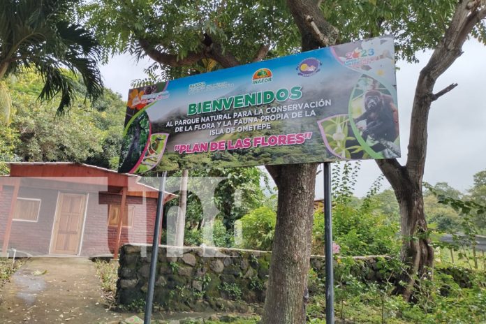 4 Foto: El volcán Maderas posee una laguna en su cráter ¡Un tesoro turístico de Ometepe!/TN8