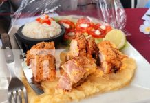 Teustepe celebró el certamen «Patria Bendita» con deliciosos platos tradicionales Foto: Teustepe celebró el certamen "Patria Bendita" con deliciosos platos tradicionales/TN8
