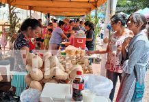Matagalpa celebra la Feria Nacional del Maíz con gran éxito cultural y gastronómico Foto: Matagalpa celebra la Feria Nacional del Maíz con gran éxito cultural y gastronómico/TN8
