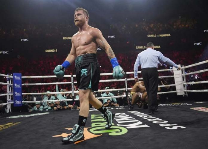 Canelo canelo, álvarez, edgar, berlanga.