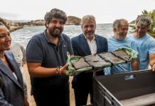 Primer fragmento de un barco fenicio hundido hace 2.600 años sale a la luz foto:Restos de un Barco Fenicio