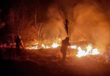 Bolivia declara emergencia nacional por incendios forestales en 72 comunidades Foto: Bolivia declara emergencia nacional por incendios forestales en 72 comunidades