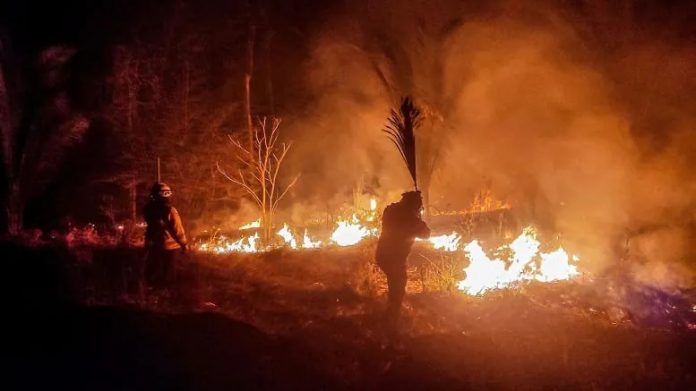 Foto: Bolivia declara emergencia nacional por incendios forestales en 72 comunidades Foto: Bolivia declara emergencia nacional por incendios forestales en 72 comunidades