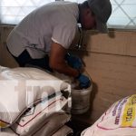 Arranca la tercera campaña nacional de desratización desde Managua Foto: Campaña de desratización en Managua / TN8