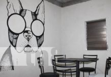 Chaplin Bar y Café, un atractivo y curioso negocio en Somoto Foto: Chaplin Bar y Café, nuevo negocio en Somoto / TN8