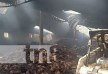 Pérdidas millonarias: Consecuencias de masivo incendio en fábrica de Estelí Foto: Incendio masivo en una fábrica de puros en Estelí / TN8