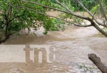 Municipios del norte de Chinandega afectados por fuertes lluvias Foto: Afectaciones por lluvias en el norte de Chinandega / TN8