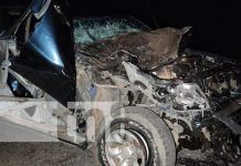 Maestro de la música fallece en trágico accidente en León Foto: Trágico accidente cobra la vida de un hombre en León / TN8