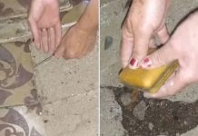 ¡Increíble!: Mujeres hallan un «tesoro» en el piso de su propia casa Foto: Las mujeres y el tesoro /cortesía