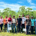 INTA presenta estudio de adaptación de 17 nuevas variedades de yuca