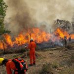Foto: Desastre ambiental en Bolivia /cortesía