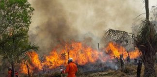 Foto: Desastre ambiental en Bolivia /cortesía
