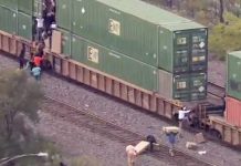 ¡Insólito! VIDEO: En plena luz del día asaltan un tren en Estados Unidos Foto: Robo en Estados Unidos /cortesía