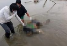 Encuentran muerto a un defensor ambiental en Perú Foto: Asesinato en Perú /cortesía