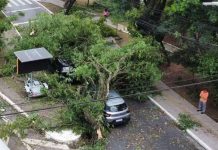 Brasil sufre su peor tormenta en 29 años dejando al menos siete muertos Foto: Lluvias en Brasil /cortesía