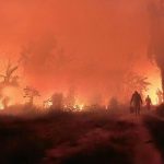 Incendios forestales en Bolivia devastan 9,8 millones de hectáreas Foto: Incendios forestales en Bolivia devastan 9,8 millones de hectáreas