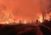 Incendios forestales en Bolivia devastan 9,8 millones de hectáreas Foto: Incendios forestales en Bolivia devastan 9,8 millones de hectáreas