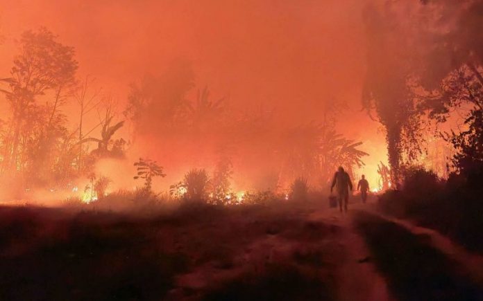 Foto: Incendios forestales en Bolivia devastan 9,8 millones de hectáreas Foto: Incendios forestales en Bolivia devastan 9,8 millones de hectáreas