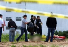 Aterrador: hallan cuerpos de cinco hombres decapitados en México Foto: Encuentran cadáveres de cinco hombres en México /Cortesía