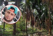 Horror en Honduras: Hombre muere tras ser atacado por una serpiente Foto: Tragedia en Honduras /cortesía