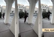 VIDEO: Momentos de angustia vivió una mujer tras ser perseguida Foto: Final inesperado de la mujer /cortesía