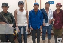 Detienen a cuatro por daños al medio ambiente en Bosawás, Siuna Foto. Ejercito detienen a cuatro por daños al medio ambiente en Bosawás, Siuna/ TN8