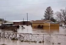 Devastadoras inundaciones en México dejan al menos 2 muertos Foto: Inundaciones récord en Nuevo México /cortesía